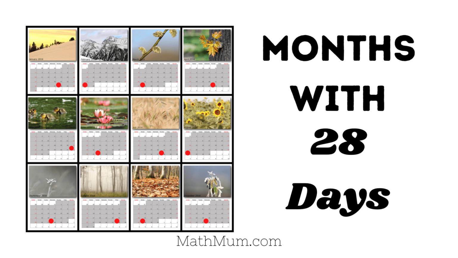 how-many-months-have-28-days-easy-math-question-that-tricks-many